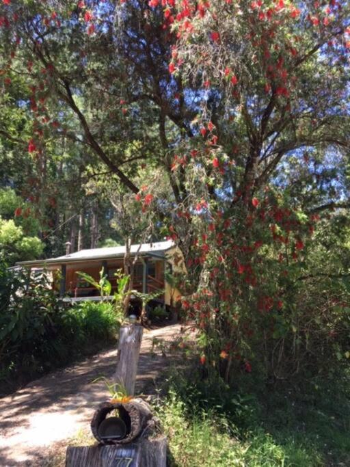 Sweetwater Cottage. A Private Mountain Escape Upper Burringbar Exterior photo